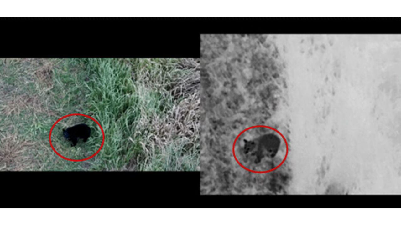 福島県昭和村とNTTドコモビジネス、セルラードローン Skydio X10を活用