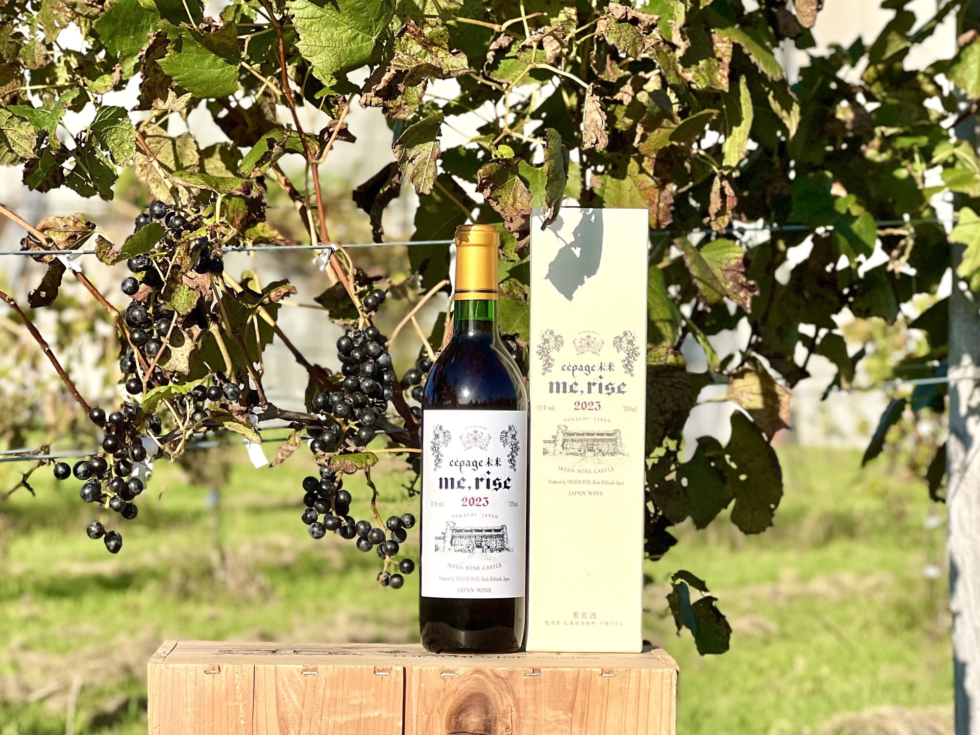 本日10月5日 (日) より発売開始！！吉田美和命名ワイン「me, rise