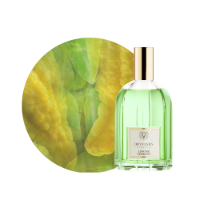 Dr. Vranjes Firenze ® Dr. Vranjes ONLINE・期間限定 ｜ルーム