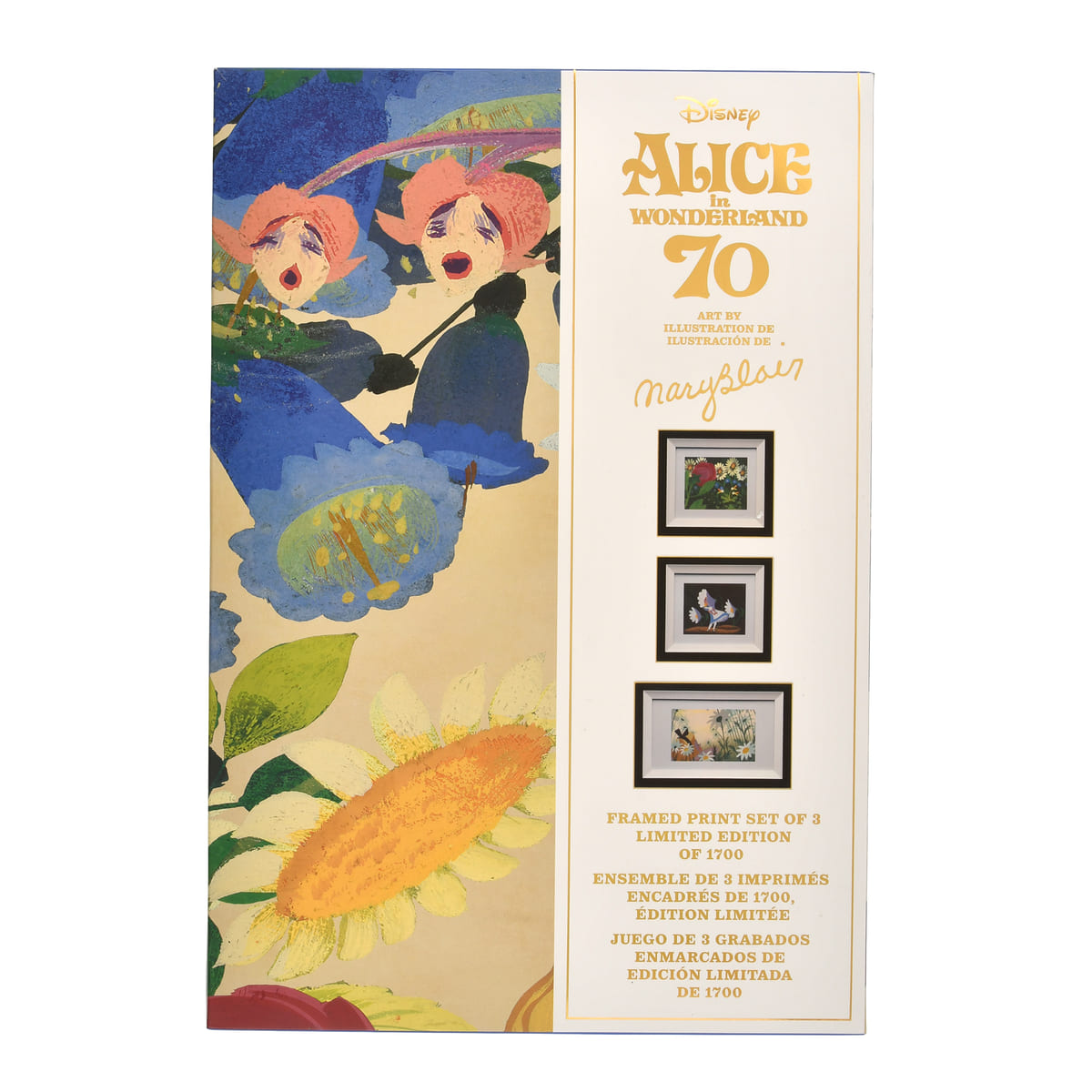 作品を生み出した伝統的アーティスト”メアリー・ブレア”のアート