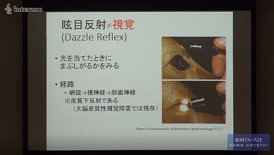 眼科検査、出来てますか? ～眼科のいろは～｜ETV Store