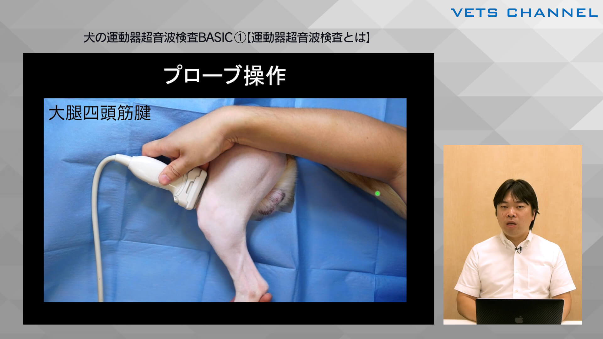 犬の運動器超音波検査BASIC①【運動器超音波検査とは】｜VETS CHANNEL