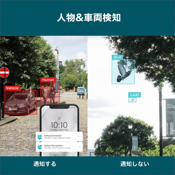 TP-Link】VIGI 5MPタレット型フルカラーネットワークカメラ（4mm