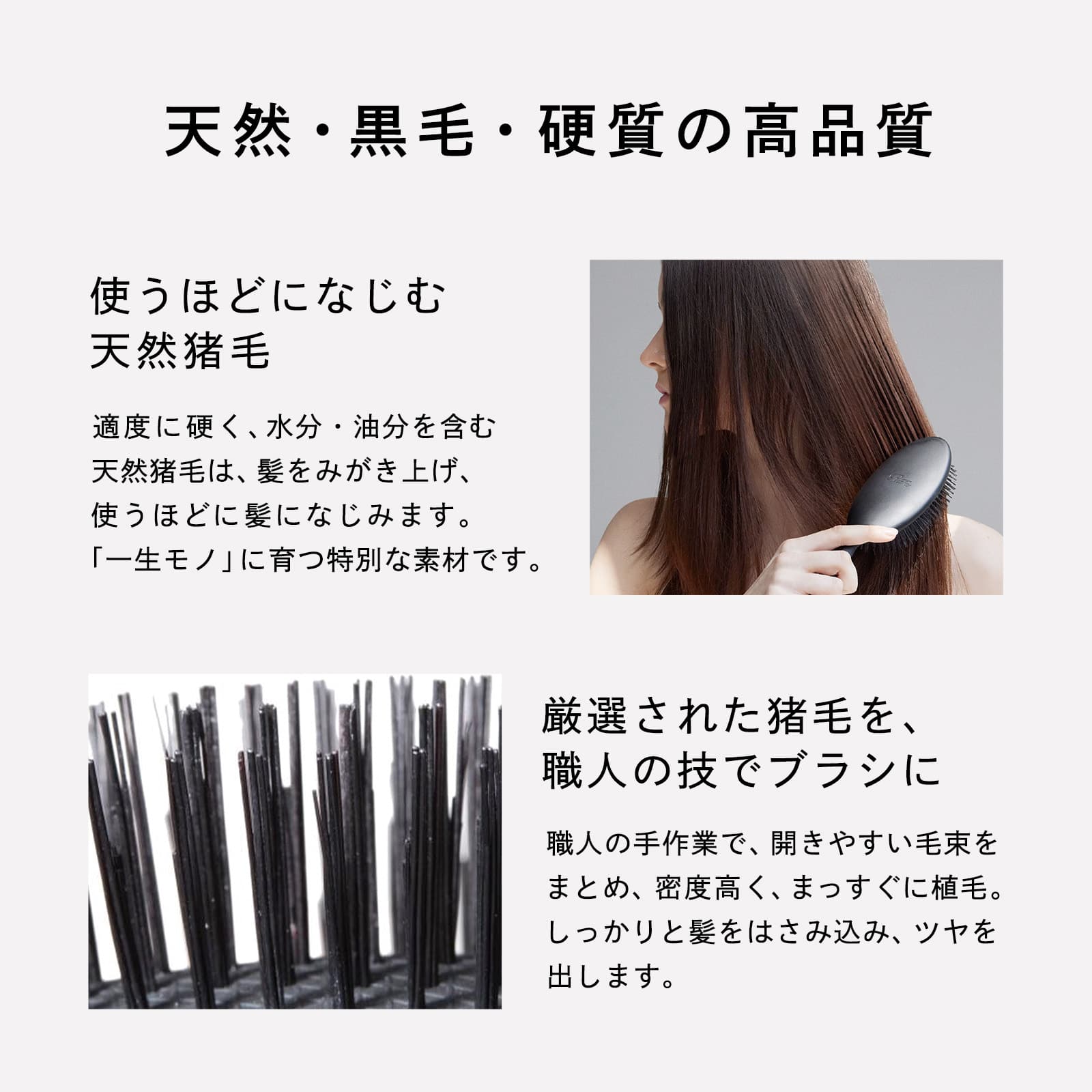 リファブリッスル: MTG ONLINESHOP｜JAL Mall｜ショッピングでマイルが