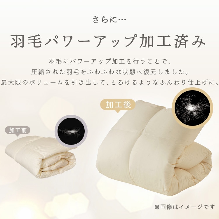 羽毛布団 シングルロング WDD80% 300dp 1.0kg アイボリー