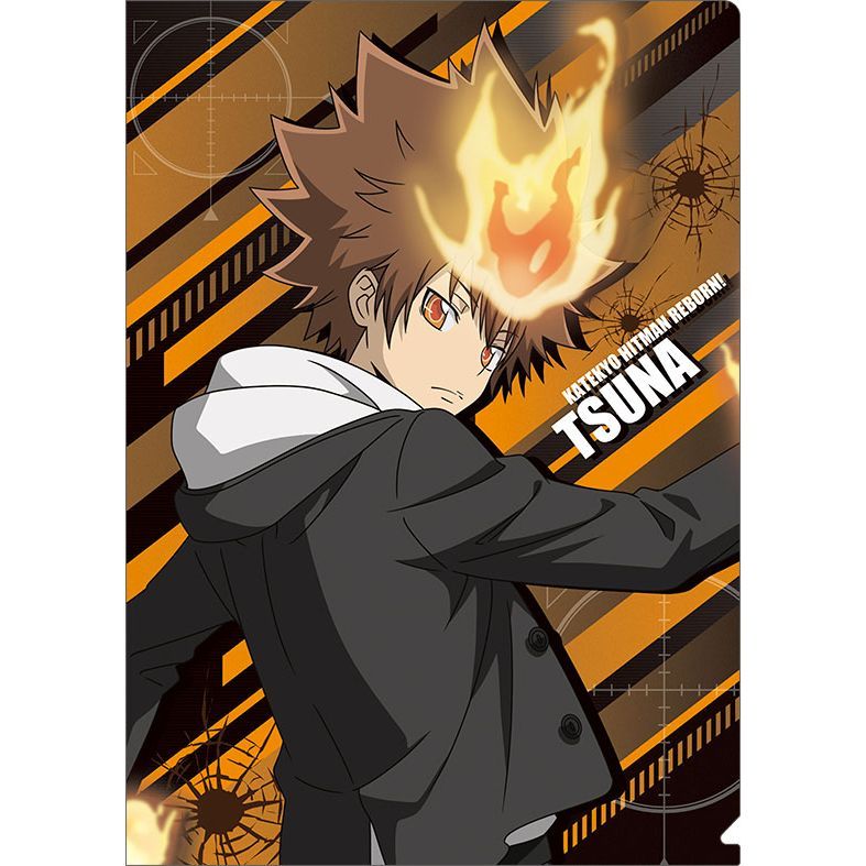 リボアニ ポストカード 沢田綱吉 専用封筒 家庭教師ヒットマンreborn