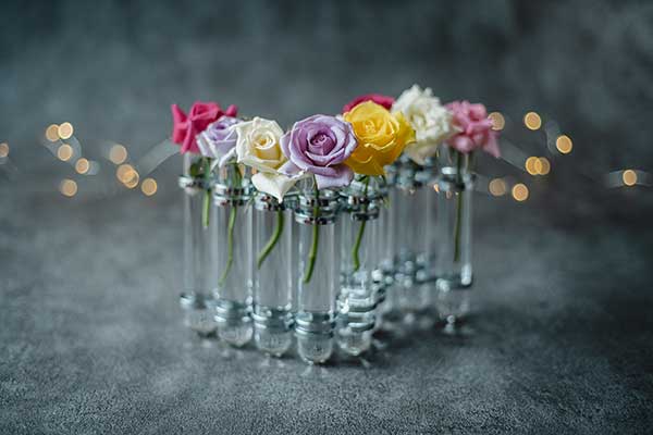 memento mori 薔薇のカクテル | エディブルフラワー研究所