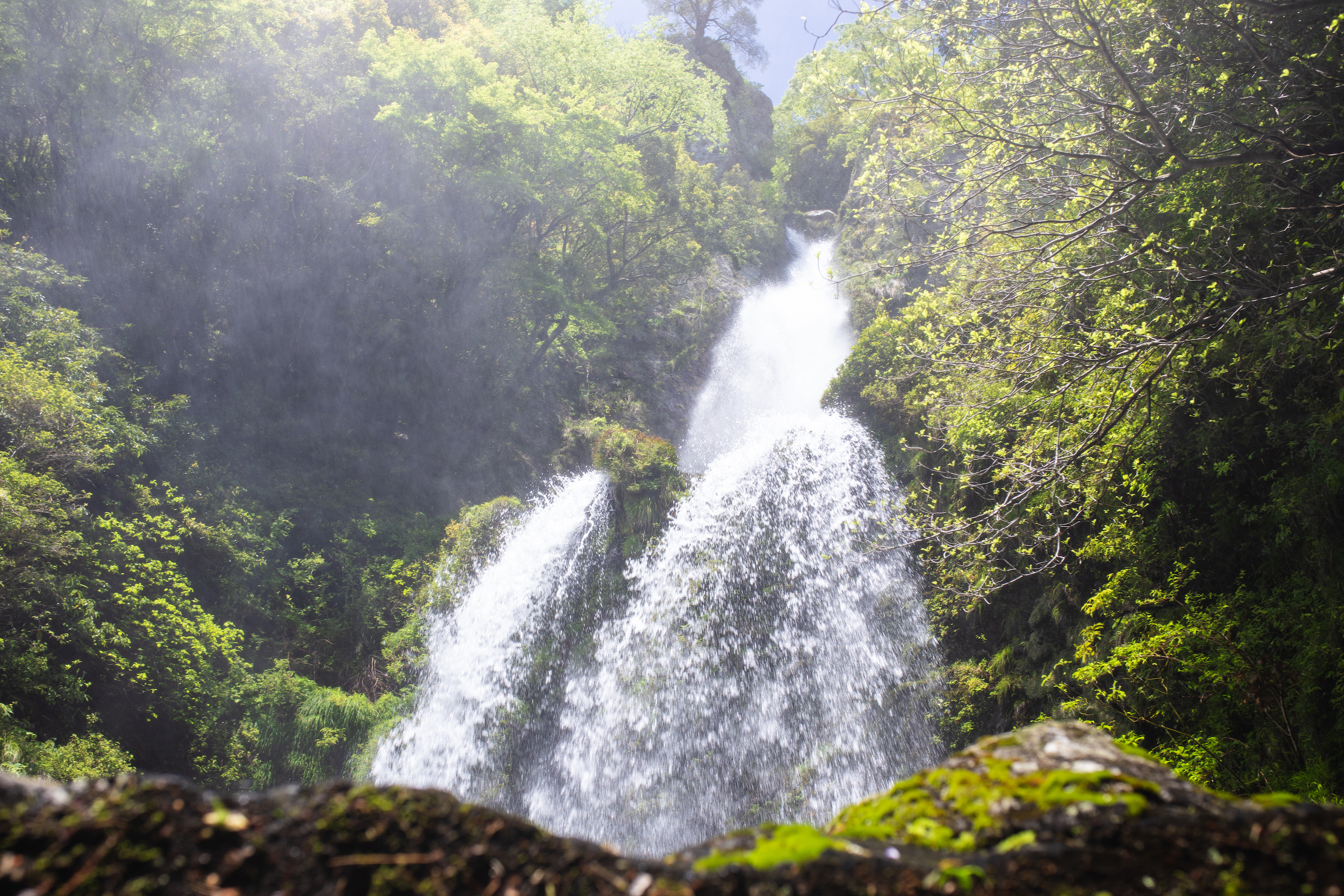 滝のおすすめはここ！高知の「滝巡り」まとめ | EIMONS®︎［エイモンズ