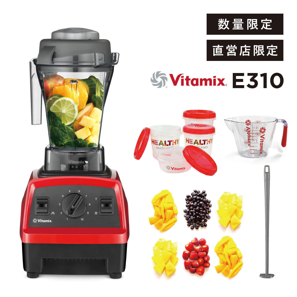直営店限定】バイタミックス Vitamix ミキサー E310 VITAFOODセット