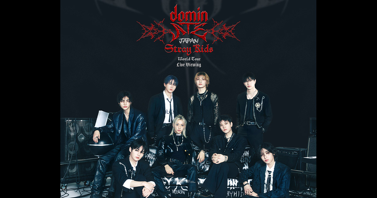 StrayKids スキズ オンコン ARチケット ハン Stray Kids SKZ IT TAPE 