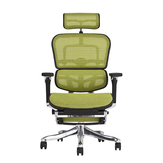 エルゴヒューマン プロ / オットマン内蔵型 / ヘッドレスト有り