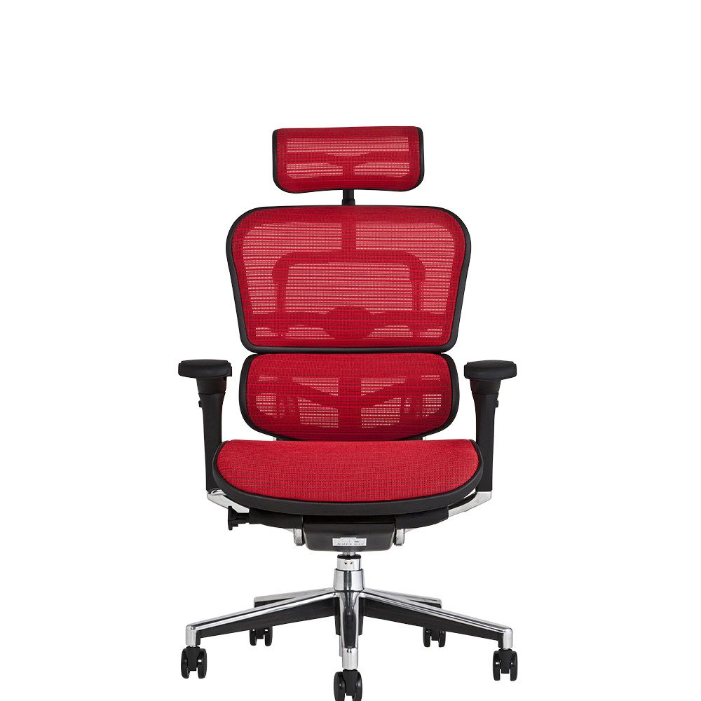 エルゴヒューマン ベーシック / ヘッドレスト有り【メーカー組み立て