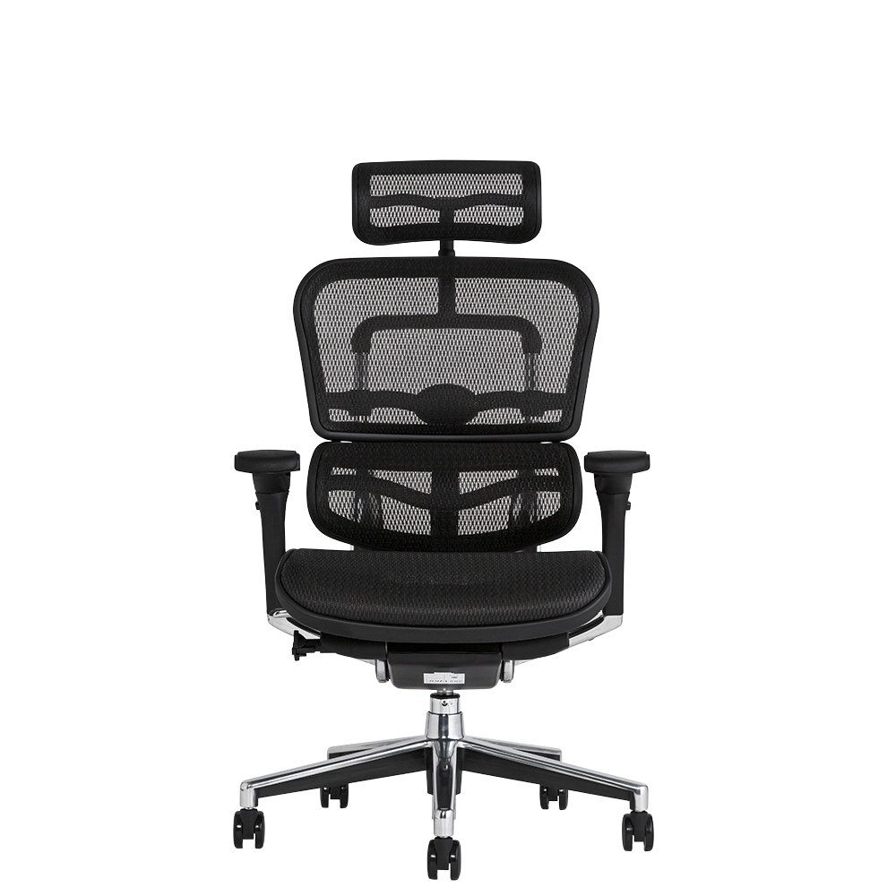 エルゴヒューマン ベーシック / ヘッドレスト有り【メーカー組み立て