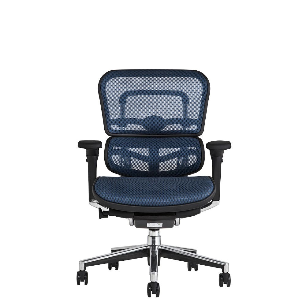 エルゴヒューマン ベーシック / ヘッドレスト無し【メーカー組み立て