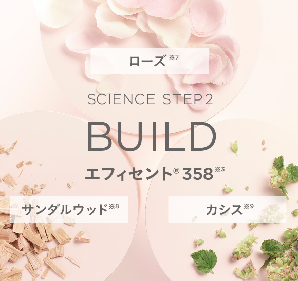 ヴァイタルスペリアライン ファーストキット｜ミネラルメイクの