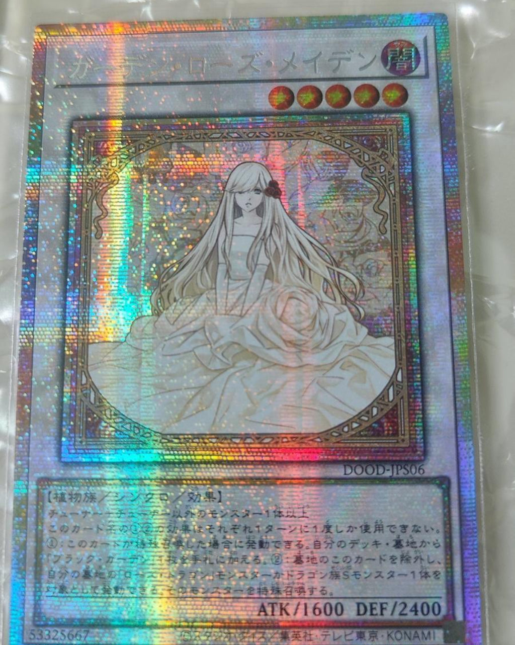 受注発送】アジア版 ガーデン・ローズ・メイデン(プリズマティック