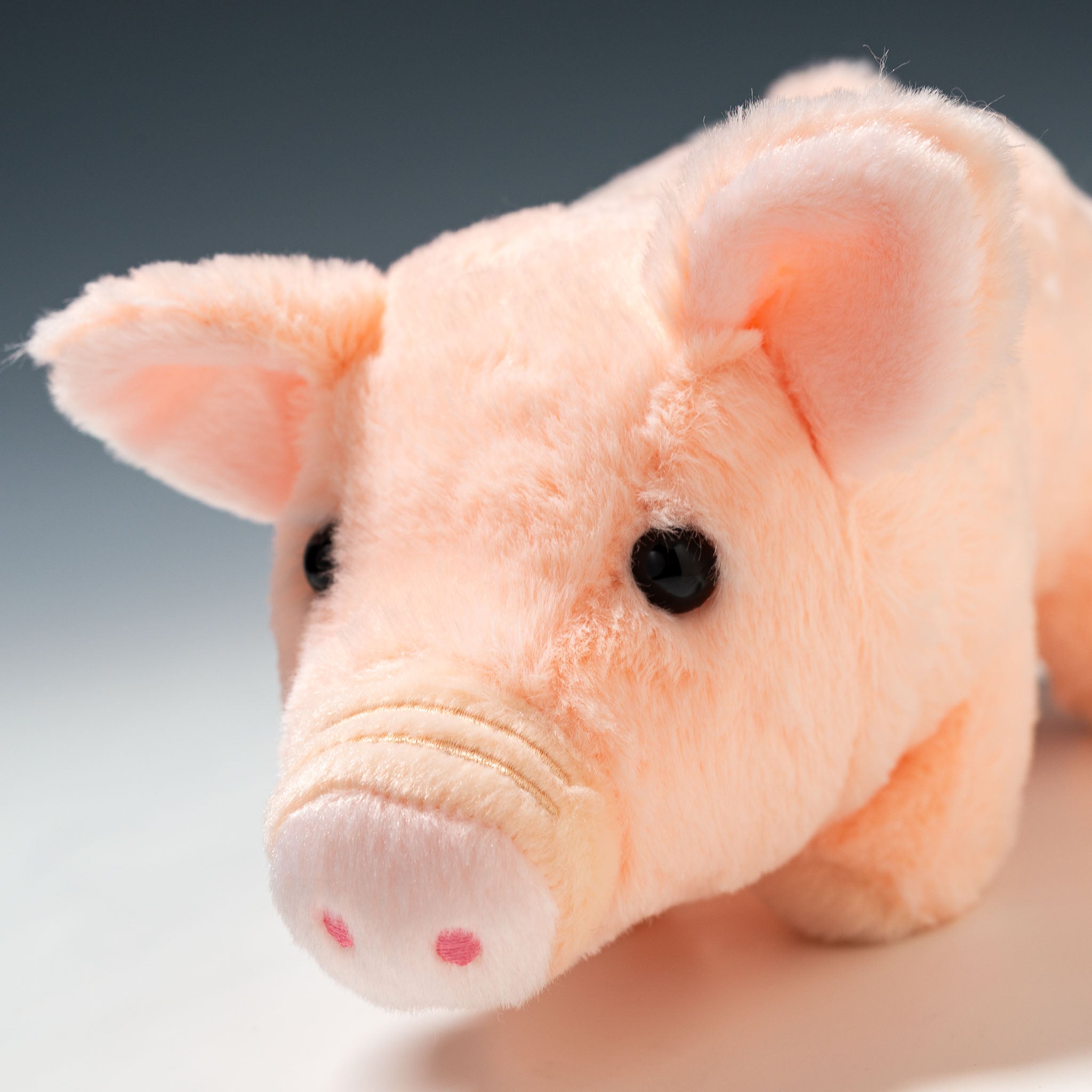 CUTE キュート販売 ぬいぐるみ ファームコレクション ブタ ブーブー