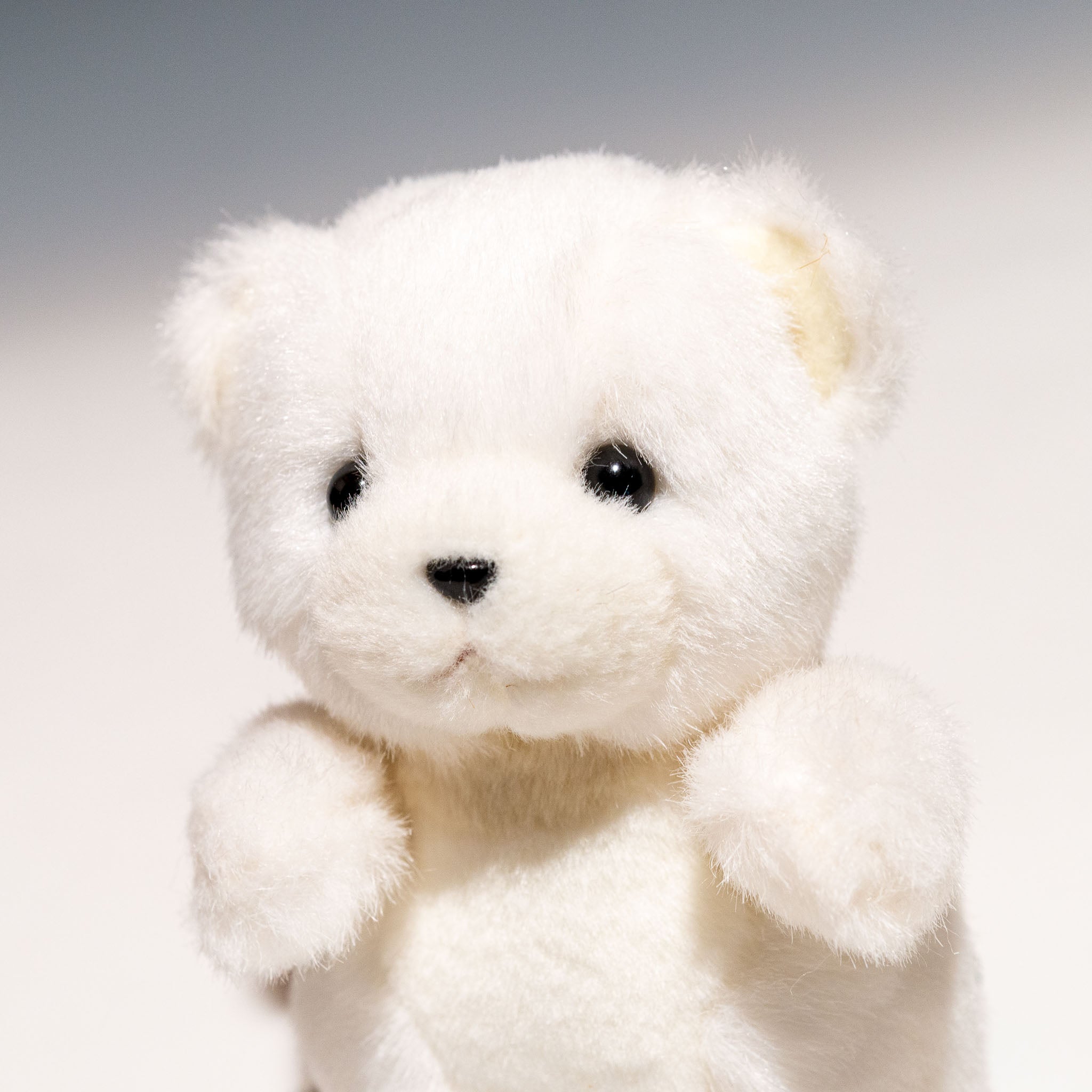 たけのこ TAKENOKO ぬいぐるみ 森のなかま (ミニ) クマ 白 85209