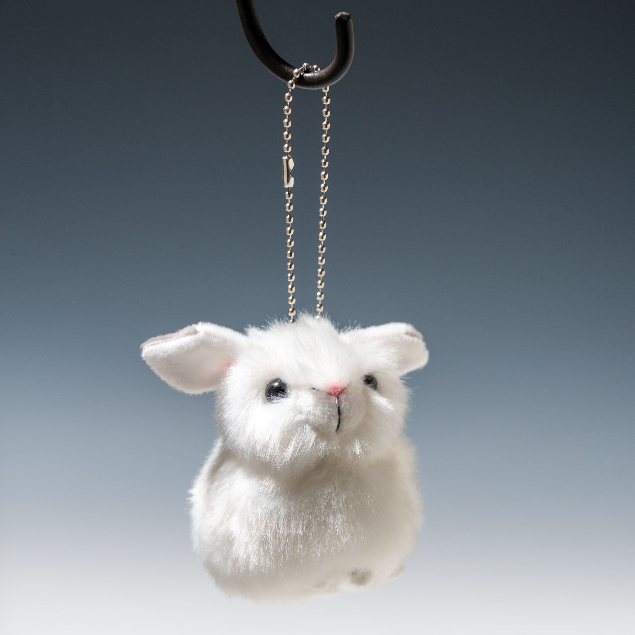 70482454-1.jpg?v=1699855590&