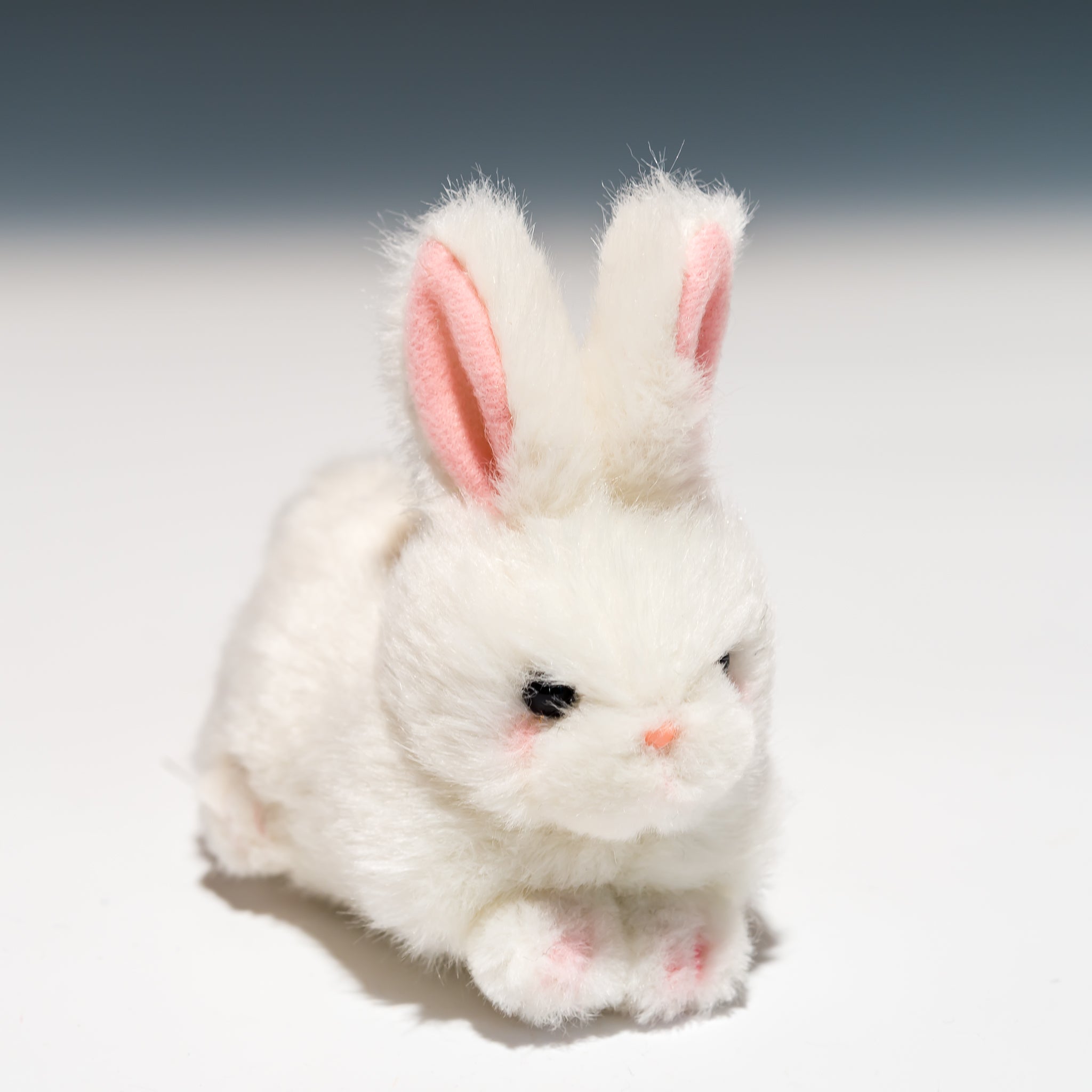 たけのこ TAKENOKO ぬいぐるみ プチプチらんど (A) ウサギ 白 58432