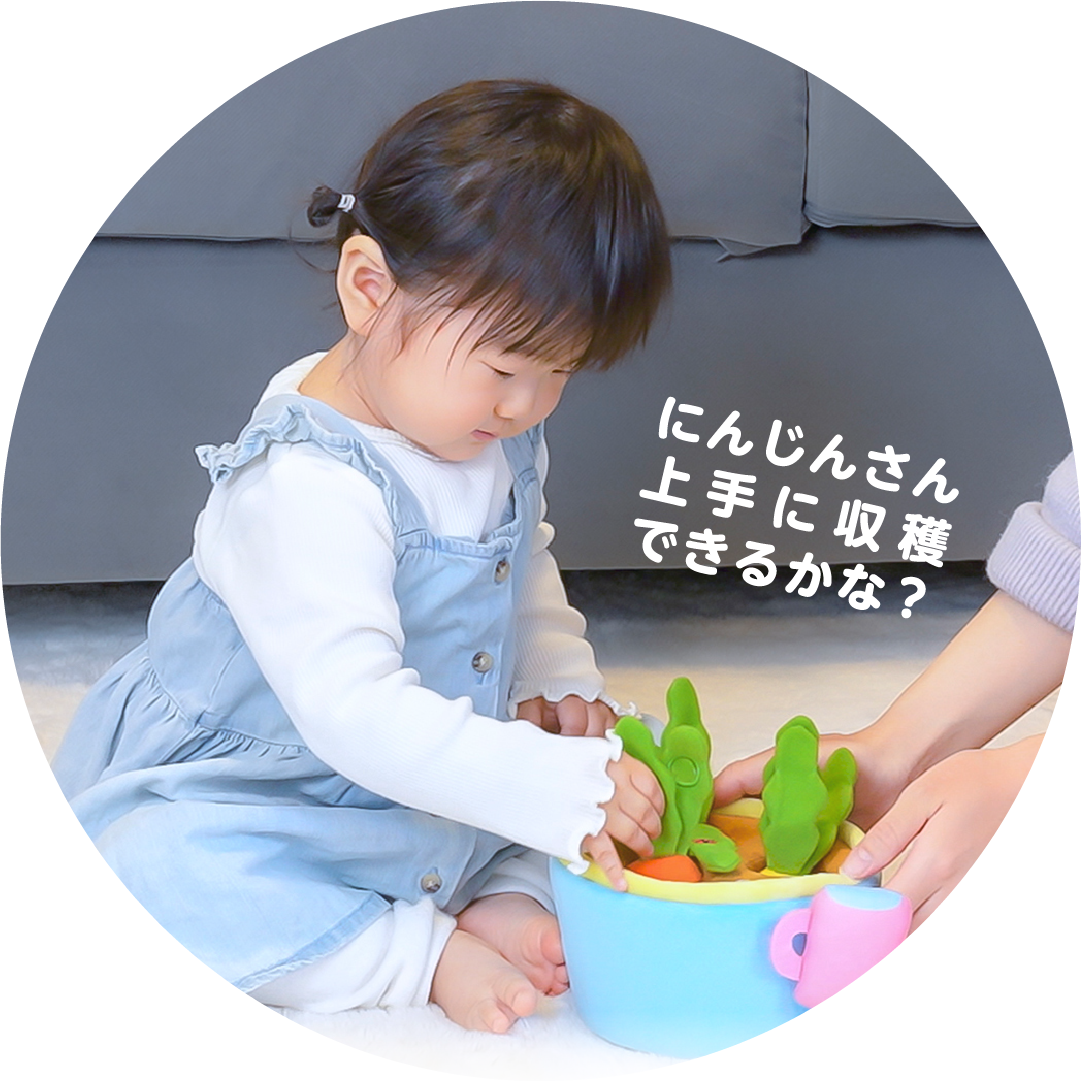 アイアップ公式通販】ぱりぱりにんじん畑 （EC限定：だいこん付き