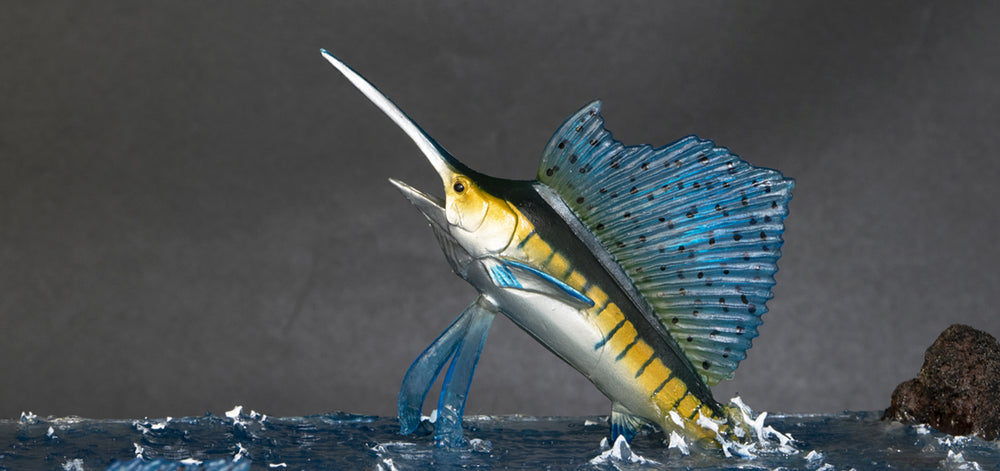 For Display：魚のすみか vol.12 – Favorite official website