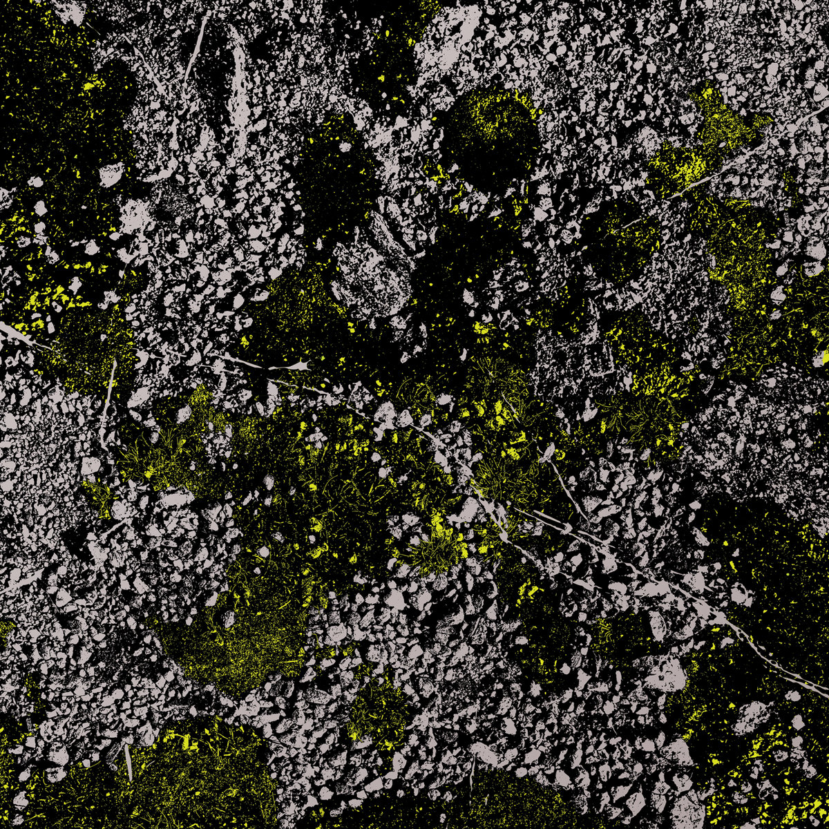 King Gizzard & The Lizard Wizard - Infest The Rats Nest (Live At