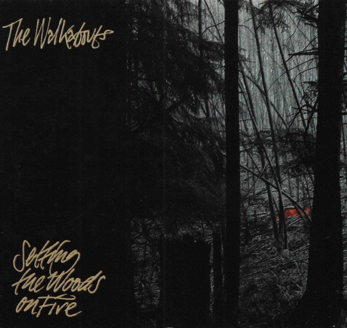 Setting the Woods on Fire | The Walkabouts