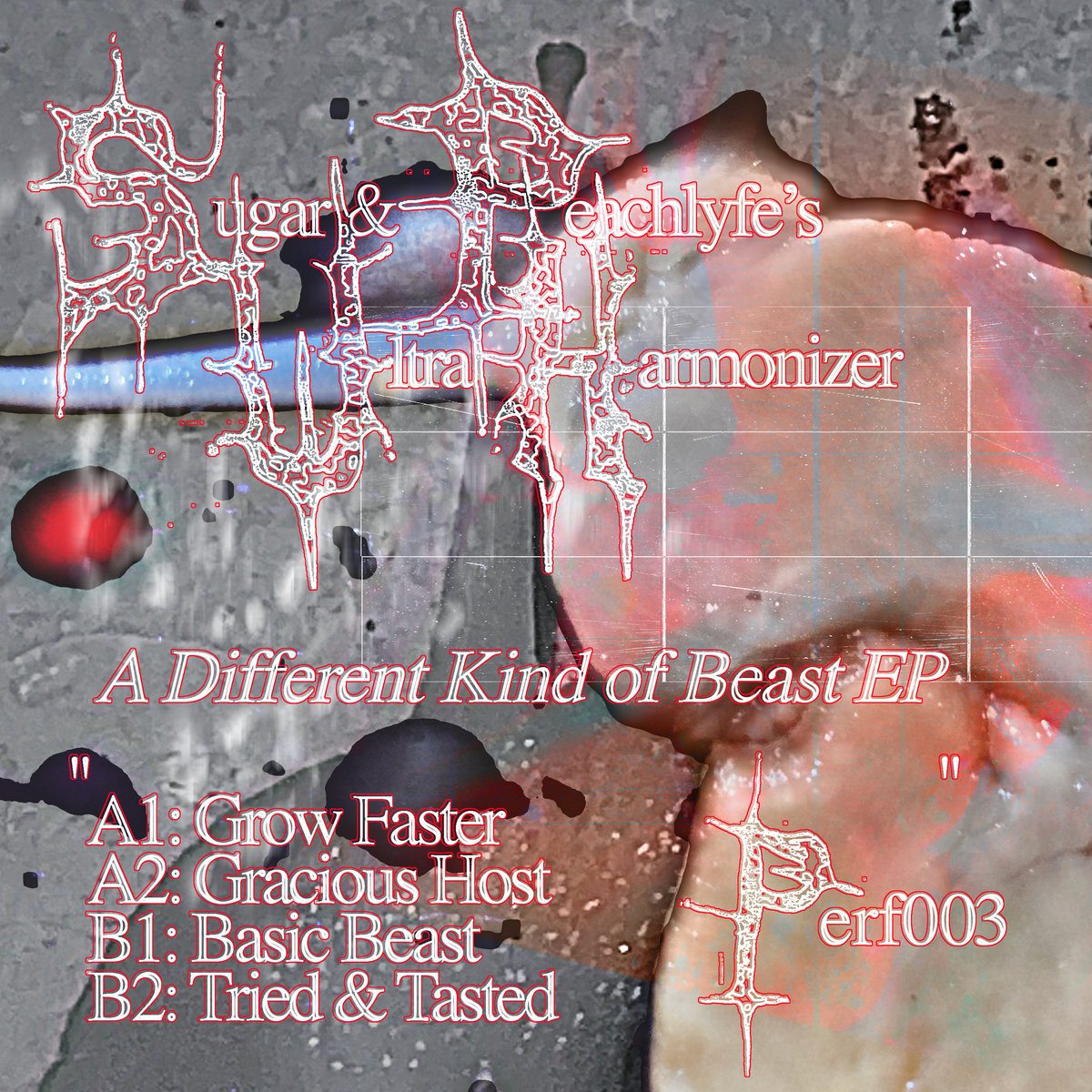 A Different Kind of Beast | Ultra Harmonizer | Fast Forward