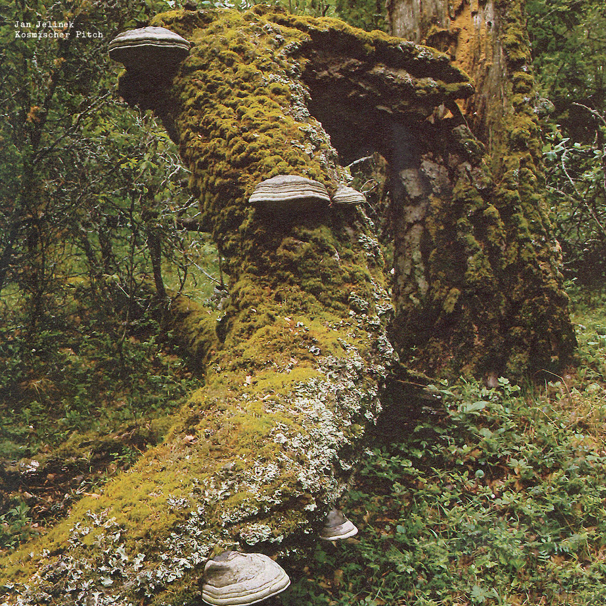 Kosmischer Pitch | Jan Jelinek