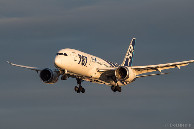 さようなら鯖次郎&鯖塗装 ～ANA B787 ローンチ記念塗装ラストフライト