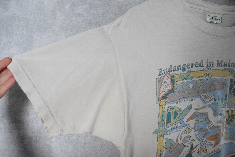 エルエルビーン(L.L.Bean) メンズTシャツ・カットソー | 通販・人気