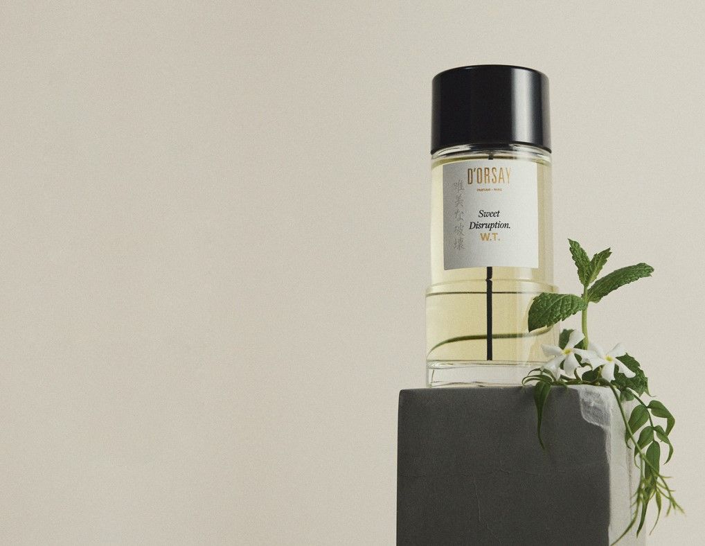 Sweet Disruption W.T. D'ORSAY: In Search Of Quiet Beauty