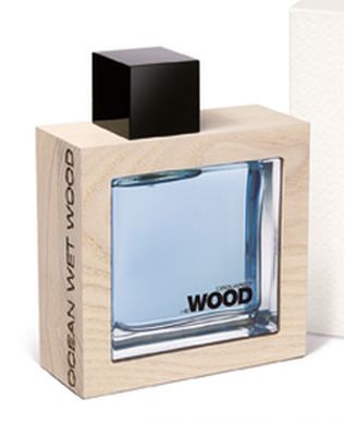 He Wood Ocean Wet Wood DSQUARED² cologne - a fragrance for men 2010