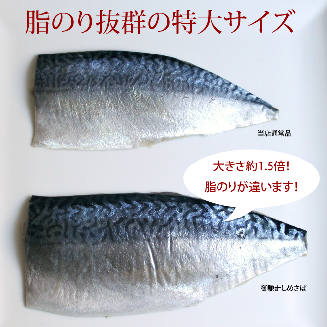 国産 特大しめさば（6L 1枚入）単品 - いか・さば八戸 タケワWEB