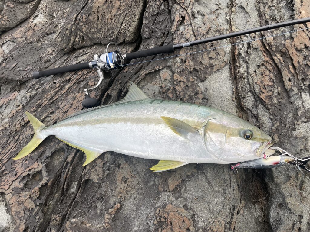 青物に使うダイビングペンシルのサイズ・大きさ選びの基本とコツ