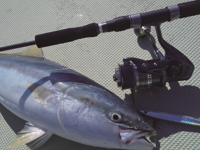 ジギングにピッタリの最新ロッド「ジグフォースSSD」の魅力に迫る