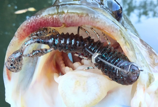 オフセットフックのサイズってどれを選べばいいの？初心者バス