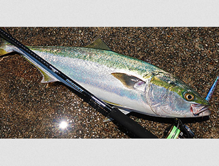 ドラッガーXに2024年新しい3機種が追加ラインナップ！ダイワの