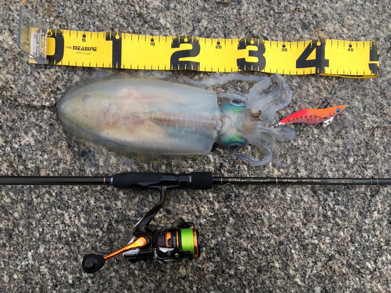 ロッドインプレ】ブルーカレント 85 TZ NANO オールレンジ フロート