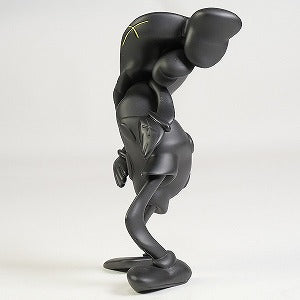 KAWS カウズ ×MEDICOM TOY KAWS COMPANION (ROBERT LAZZARINI version