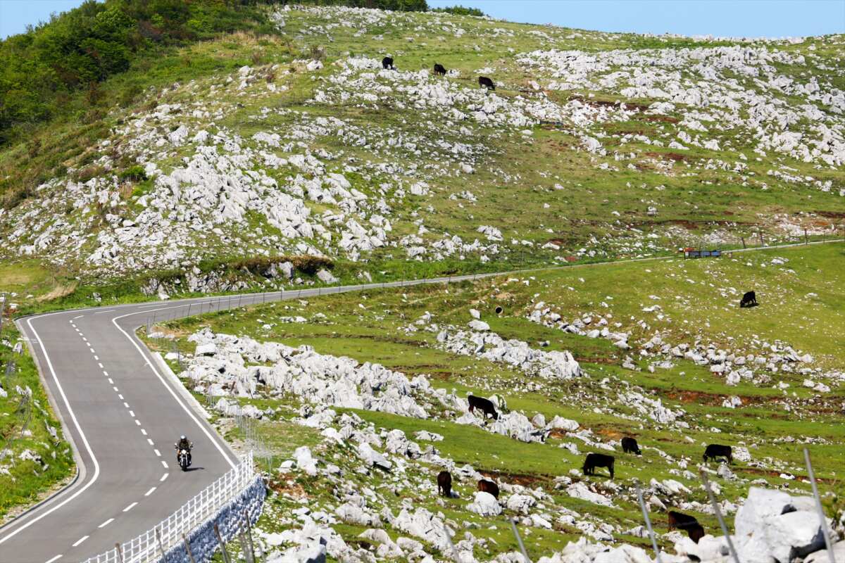 広大なカルスト台地を駆け上がれ！ 県道383号四国カルスト公園縦断線