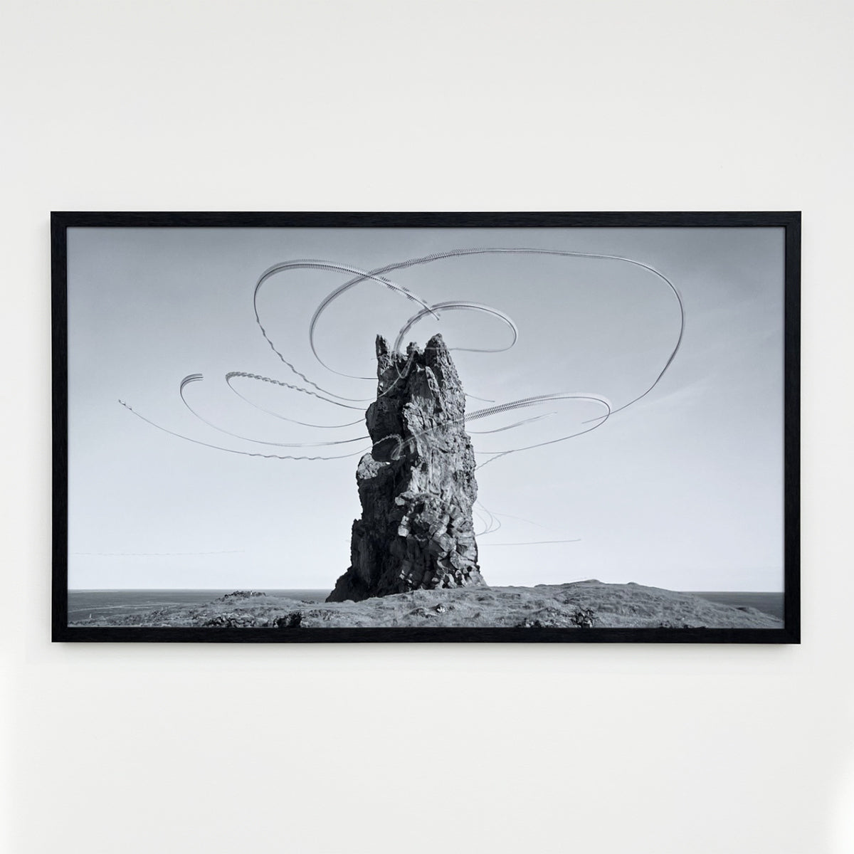 Xavi Bou Artwork 'Ornithographies #300' | Available at Foster