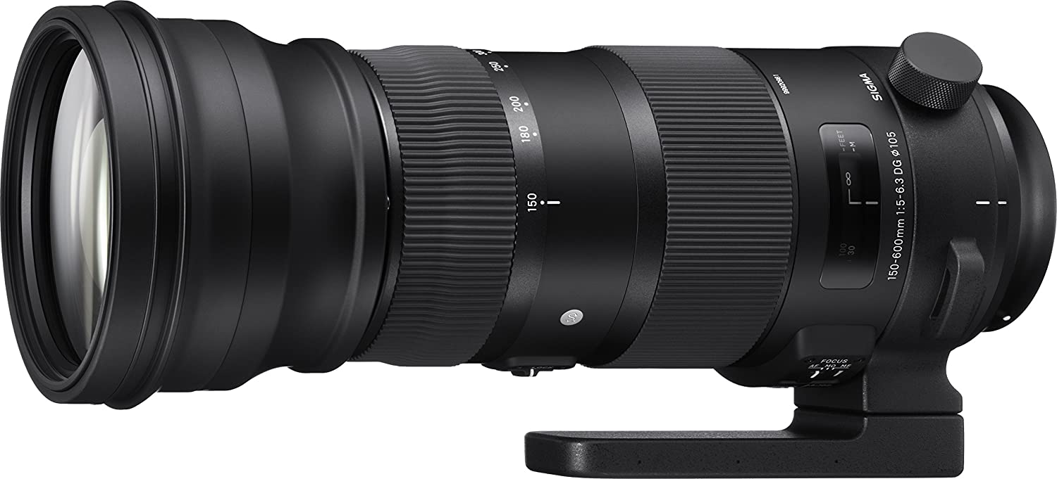 Sigma 150-600mm f/5-6.3 DG OS HSM Sports Lens Nikon Mount - fotovision
