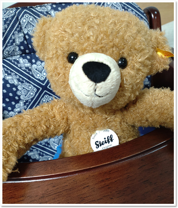 シュタイフ テディベア モーリー 24cm EAN019593