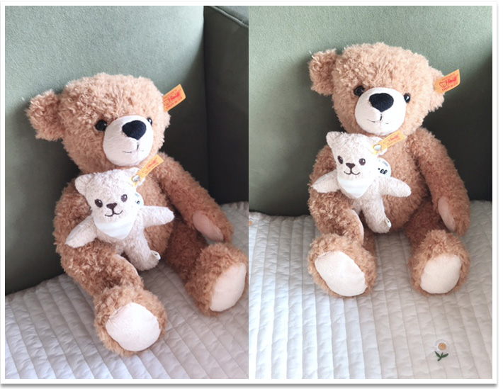 シュタイフ テディベア モーリー 24cm EAN019593