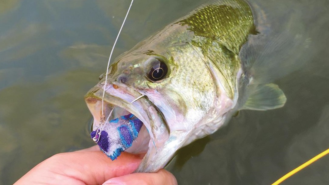 中山勝さんのブラックバス用システム | TACKLE GUIDE | FlyFisher