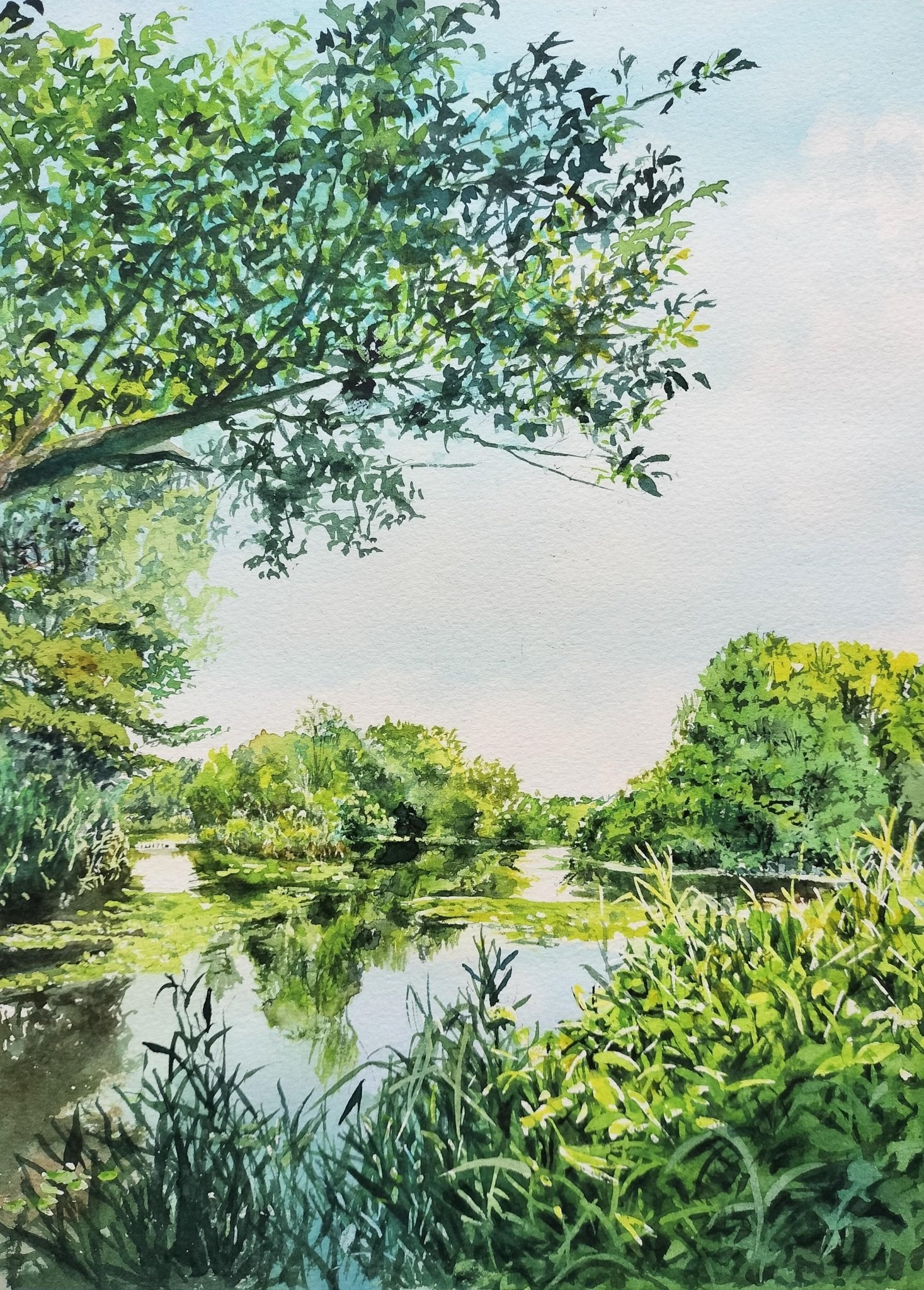 絵画の通販、購入ならFROM ARTIST/作品名：水草越しの水辺/作家名