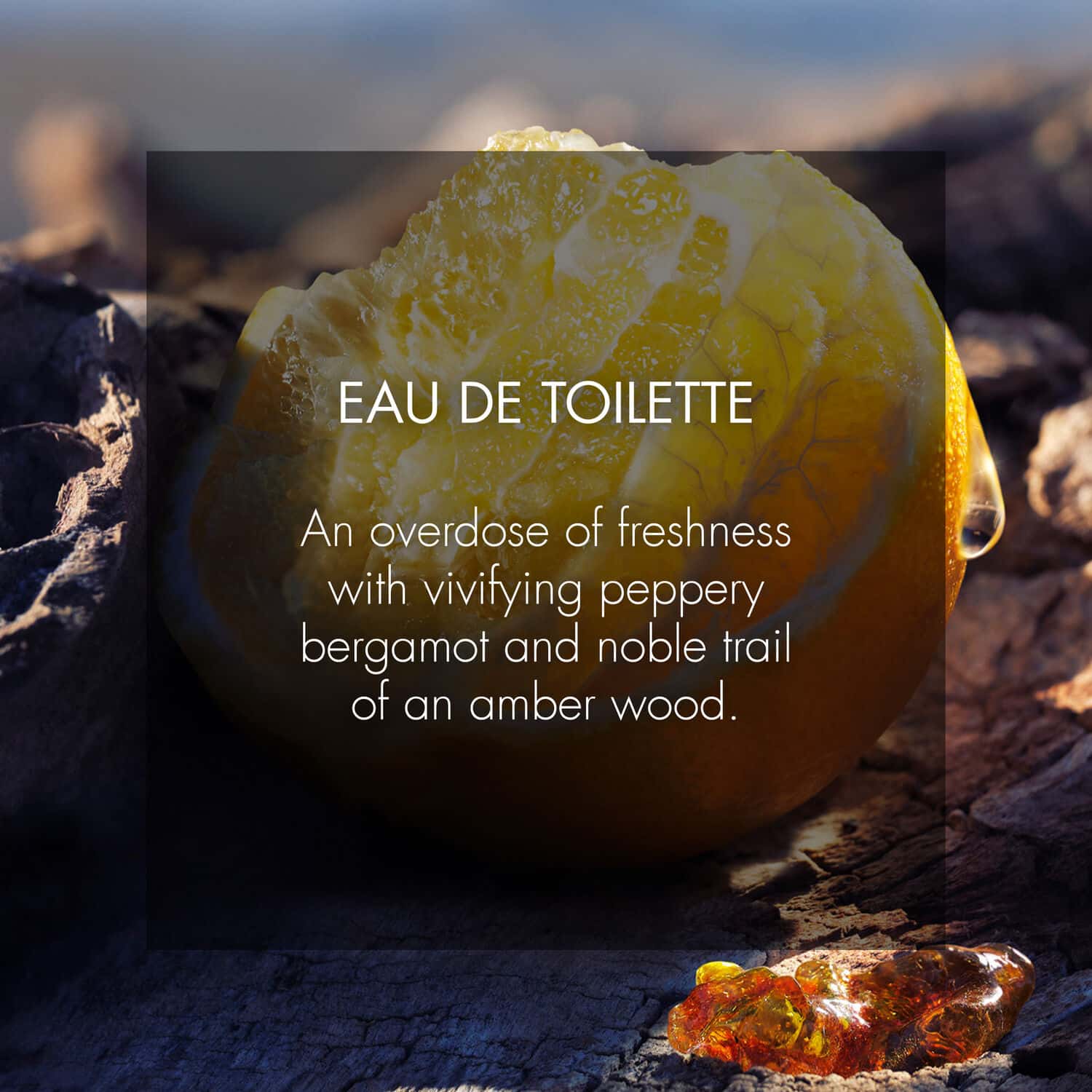 Franks | Sauvage by Dior - a light perfume