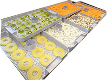 ドラミニ（家庭用食品乾燥機） |